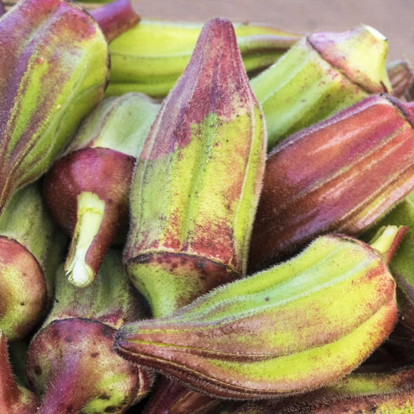 Okra Hill Country Red - (Abelmoschus Esculentus) Seeds