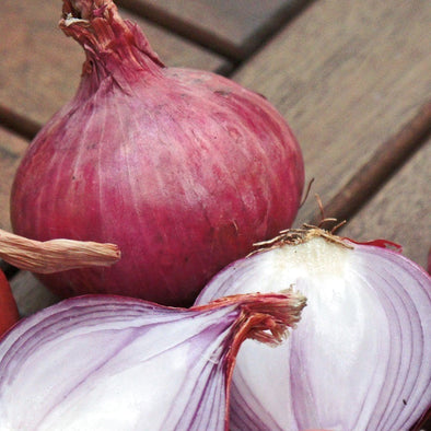 Onion Ruby Red - (Allium Cepa) Seeds