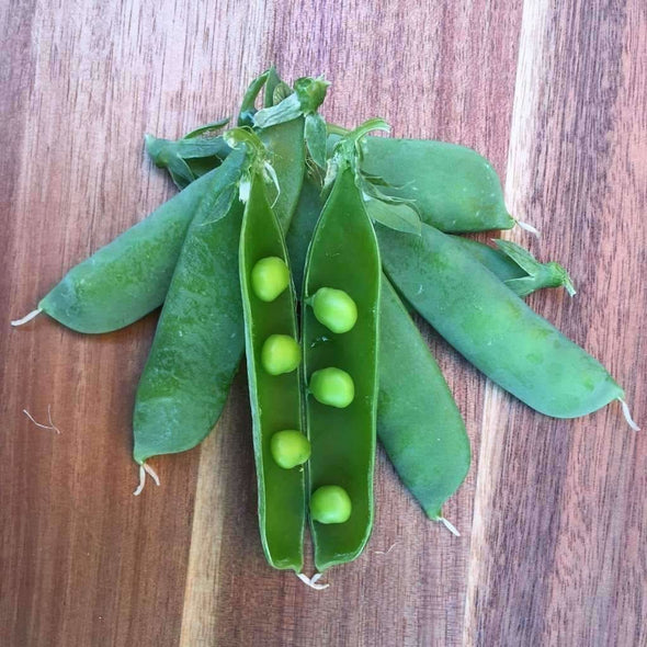 Pea Little Marvel - (Pisum Sativum) Seeds