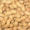 Peanuts Jumbo - (Arachis Hypogaea) Seeds