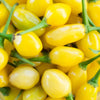 Pepper (Hot) Cumari Do Para - (Capsicum Chinense) Seeds