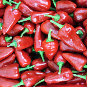 Pepper (Hot) Hinkelhatz - (Capsicum Annuum) Seeds