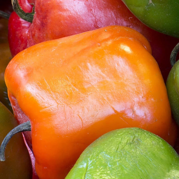 Pepper (Hot) Manzano (Orange) - (Capsicum Pubescens) Seeds