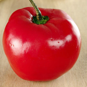 Pepper (Hot) Manzano (Red) - (Capsicum Pubescens) Seeds