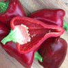 Pepper (Sweet) Big Red - (Capsicum Annuum) Seeds