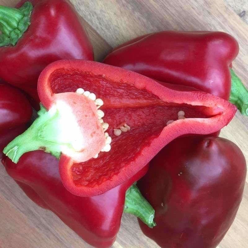 Order Red Bell Pepper, Large