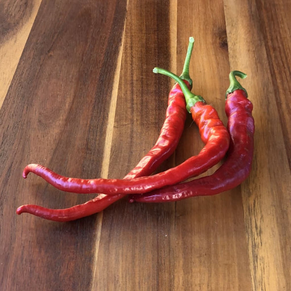 Pepper (Sweet) Mehmets Sweet Turkish - (Capsicum Annuum) Seeds