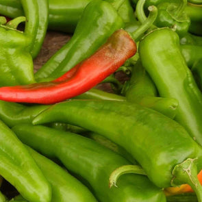 Pepper (Sweet/hot) Anaheim - (Capsicum Annum) Seeds