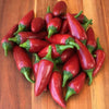 Pepper (Sweet/hot) Black Hungarian - (Capsicum Annuum) Seeds