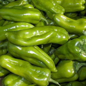 Pepper (Sweet/hot) Cubanelle - (Capsicum Annuum) Seeds