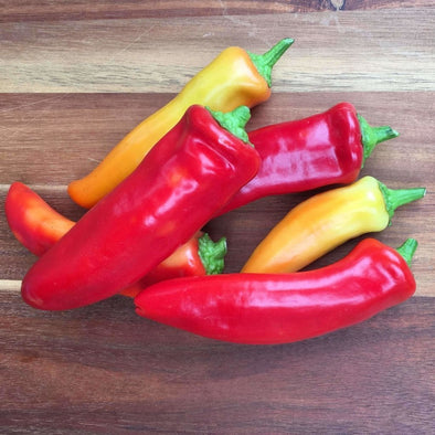 Pepper (Sweet/hot) Hungarian Hot Wax - (Capsicum Annuum) Seeds