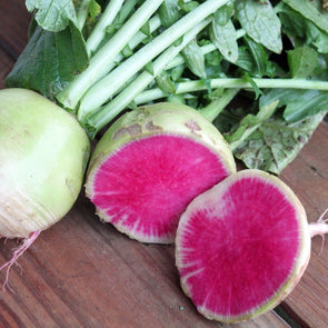 Radish Watermelon - (Raphanus Sativus) Seeds