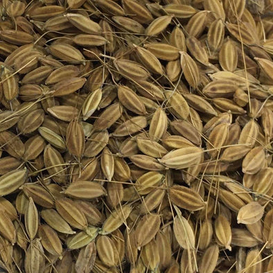 Rice Akamuro - (Oryza Sativa) Seeds