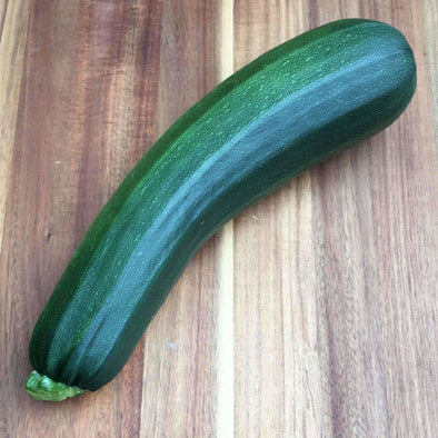 Squash (Summer) Black Beauty Zucchini - (Cucurbita Pepo) Seeds