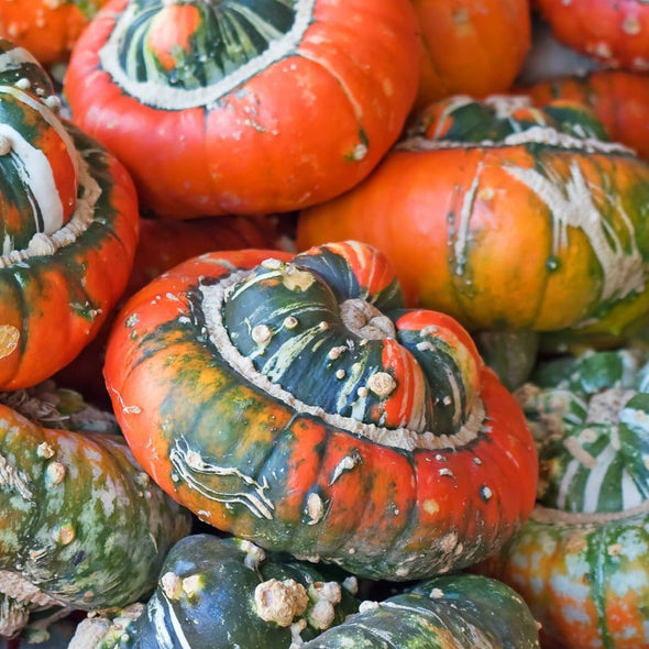 Squash (Winter) Turks Turban - (Cucurbita Maxima) Seeds