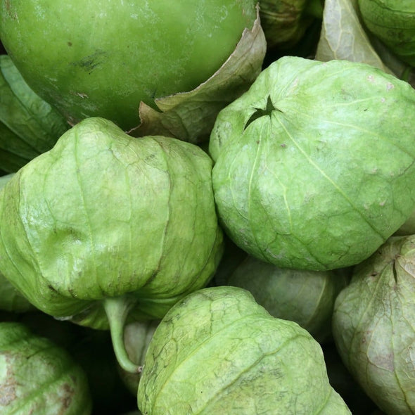 Tomatillo Miltomate - (Physalis Philadelphica) Seeds