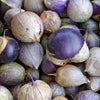 Tomatillo Purple - (Physalis Philadelphica) Seeds