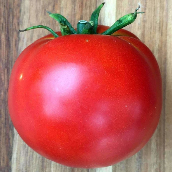 Tomato Abe Lincoln - (Solanum Lycopersicum) Seeds