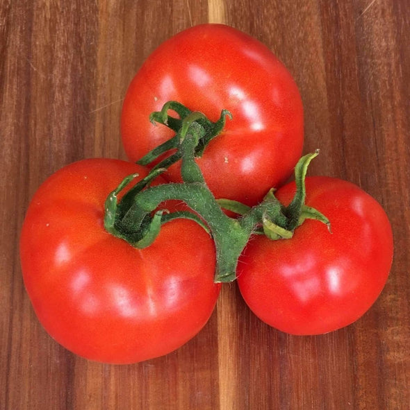 Tomato Abe Lincoln - (Solanum Lycopersicum) Seeds