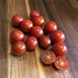 Tomato Be My Baby - (Solanum Lycopersicum) - Ossi Seeds
