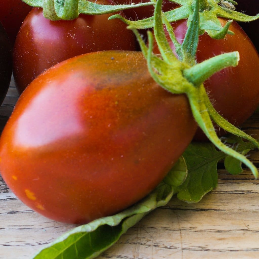 Seeds for Black Plum Tomato | Solanum lycopersicum | Amkha Seed