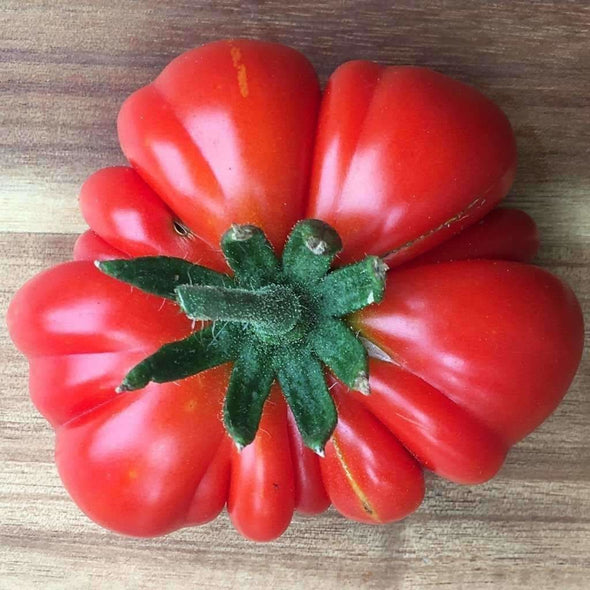 Tomato Costoluto Genovese - (Solanum Lycopersicum) Seeds