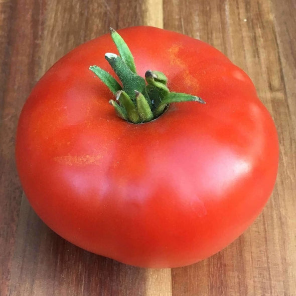 Tomato Delicious - (Solanum Lycopersicum) Seeds