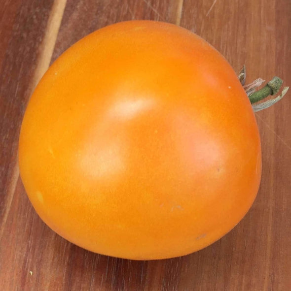 Tomato Golden Jubulee - (Solanum Lycopersicum) Seeds