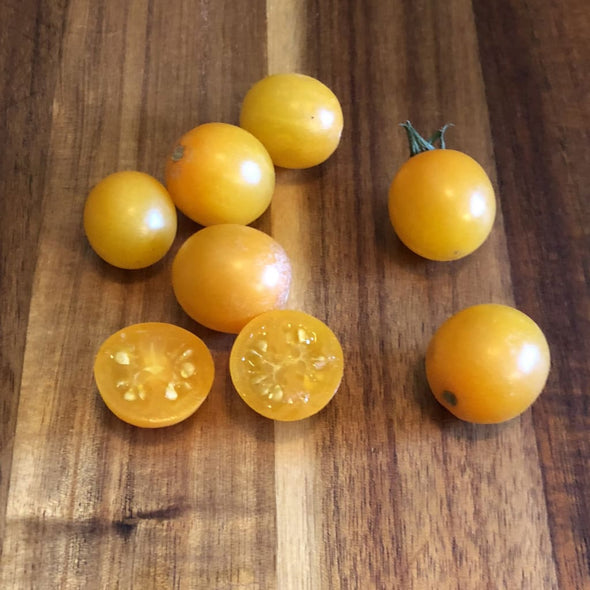 Tomato Honeydrop Cherry - (Solanum Lycopersicum) Seeds