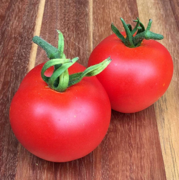 Tomato Moneymaker - (Solanum Lycopersicum) Seeds