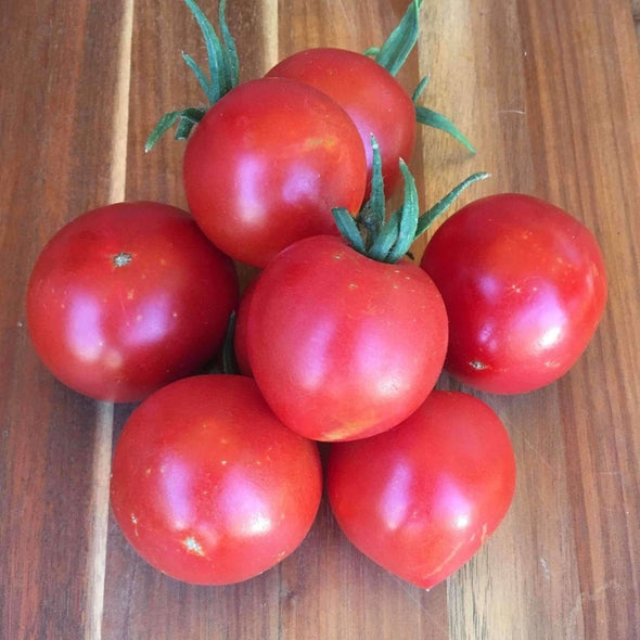 Tomato New Yorker - (Solanum Lycopersicum) Seeds