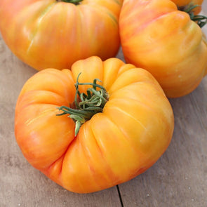 Tomato Pineapple - (Solanum Lycopersicum) Seeds