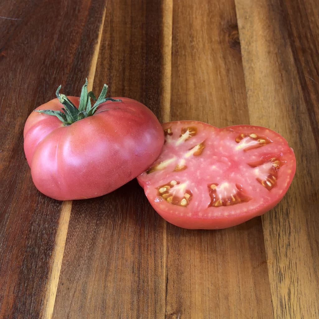 Seeds for Pink Brandywine Tomato  Solanum lycopersicum – Amkha Seed