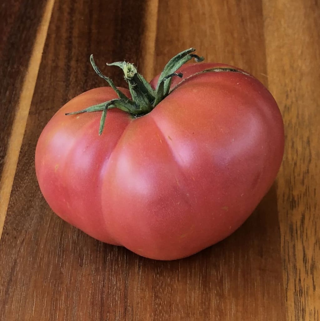 Pink Brandywine Tomato At Last!