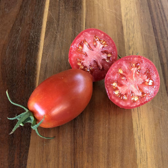 Tomato Polish Paste - (Solanum Lycopersicum) Seeds