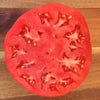 Tomato Ponderosa Pink - (Solanum Lycopersicum) Seeds