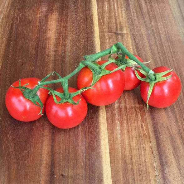 Tomato Siberian - (Solanum Lycopersicum) Seeds