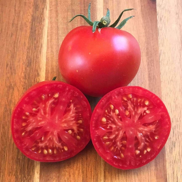 Tomato Thessaloniki - (Solanum Lycopersicum) Seeds