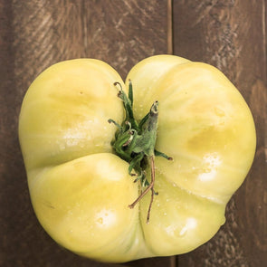 Tomato White Wonder Beefsteak - (Solanum Lycopersicum) Seeds